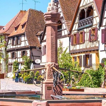 Vue Splendide Au Coeur Des Vignes Lägenhet Bergheim Exteriör bild