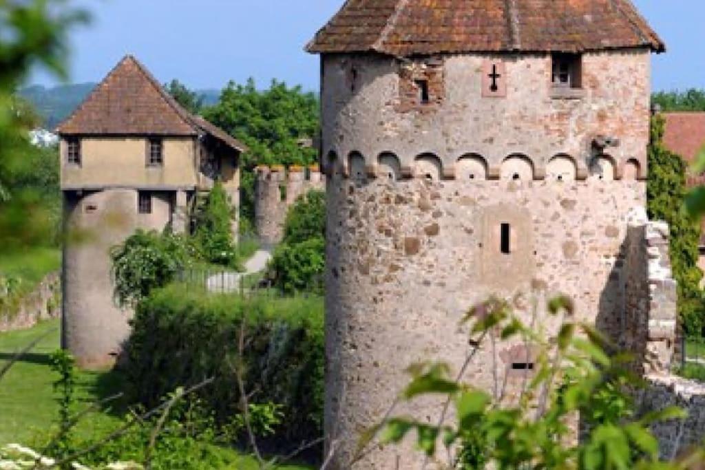 Vue Splendide Au Coeur Des Vignes Lägenhet Bergheim Exteriör bild